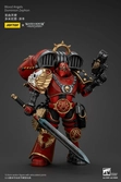 Warhammer the horus heresy figurine blood angels dominion zephon 20 cm