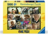 One piece puzzle looking for the one piece (1000 pièces)