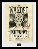 FANTASTIC BEASTS - Collector Print 30X40 - Wanted