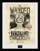 FANTASTIC BEASTS - Collector Print 30X40 - Wanted