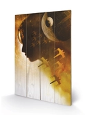 STAR WARS ROGUE ONE - Impression sur Bois 40X59 - Jyn Silhouette