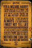 HARRY POTTER - Poster 61X91 - Quotes