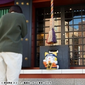 Naruto shippuden mega cat project nyanto! the big nyaruto series trading figure nyaruto fortune cats giant ver. 34 cm