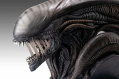 Alien romulus buste 1/1 xenomorph 53 cm
