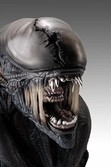 Alien romulus buste 1/1 xenomorph 53 cm