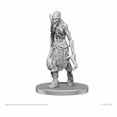 Pathfinder deep cuts miniatures à peindre myceloid & grimstalker