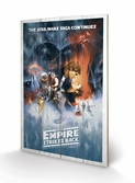 STAR WARS - Impression sur Bois 40X59 - Empire Strike Back