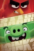 ANGRY BIRDS - Poster 61X91 - Raah