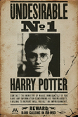 HARRY POTTER - Poster 61X91 - Undesirable N° 1