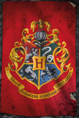 HARRY POTTER - Poster 61X91 - Hogwarts Flag
