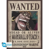 One piece - wanted shanks & barbe noire - set de 2 posters '52x38'