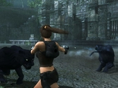 Tomb Raider Underworld - WII