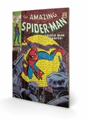 MARVEL - Impression sur Bois 40X59 - Spiderman Wanted