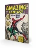 MARVEL - Impression sur Bois 40X59 - Spiderman Amazing Fantasy