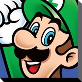 NINTENDO - Canvas 40X40 - Super Mario : Luigi