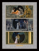 STAR WARS - Collector Print HQ 32X42 - The Falcon Departs