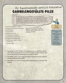 Fallout: the official cookbook for vault dwellers allemand