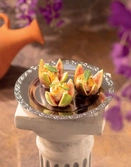 Anno: the official cookbook allemand