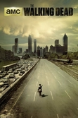WALKING DEAD - Poster 61X91 - City