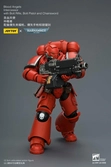 Warhammer 40,000 figurine blood angels intercessor 12 cm