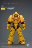 Warhammer 40,000 figurine imperial fists intercessor 12 cm