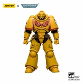 Warhammer 40,000 figurine imperial fists intercessor 12 cm
