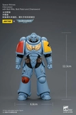Warhammer 40,000 figurine space wolves intercessor 12 cm