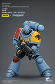 Warhammer 40,000 figurine space wolves intercessor 12 cm
