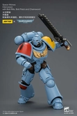 Warhammer 40,000 figurine space wolves intercessor 12 cm