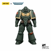 Warhammer 40,000 figurine dark angels intercessor 12 cm