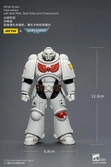 Warhammer 40,000 figurine white scars intercessor 12 cm