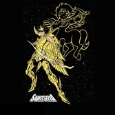 SAINT SEIYA - T-Shirt Basic Aiolos Sagittaire (S)