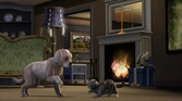 Les Sims 3 : Animaux & Cie (extension) - PC - MAC