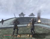 The Elder Scrolls IV Oblivion 5e Anniversaire Just For Games - PC