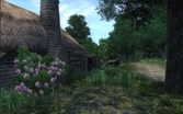 The Elder Scrolls IV Oblivion 5e Anniversaire Just For Games - PC