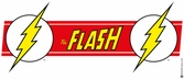 FLASH - Mug - The Flash