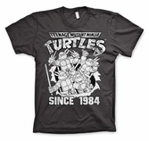 TMNT - T-Shirt Distressed Since 1984 - D.Grey (S)