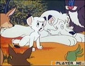 Le Roi LEO Box 3/5 (4 DVD) - DVD