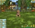 Puppy luv : animal tycoon - PC