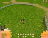 L'academie des animaux - PC