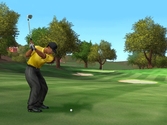 Tiger Woods PGA Tour 2005 - GameCube