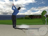 Tiger Woods PGA Tour 2004 - PlayStation 2