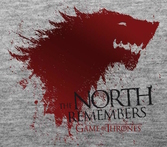 GAME OF THRONES - T-Shirt The North Remembers Homme (M)