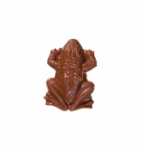 Chocolat Harry Potter : Chocolate Frog 15g - Boite de 24