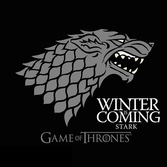 GAME OF THRONES - T-Shirt Winter Is Coming Homme (XXL)