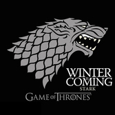 GAME OF THRONES - T-Shirt Winter Is Coming Femme (L)