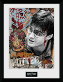 HARRY POTTER - Collector Print 30X40 - Harry Potter