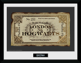 HARRY POTTER - Collector Print 30X40 - Ticket