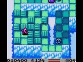 Tiny Toon Adventures : Dizzy's Candy Quest - Game Boy Color