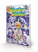 DC COMICS - Impression sur Bois 40X59 - Wonder Woman Body Snatcher